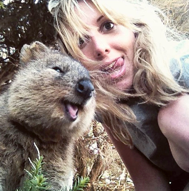 Quokka-Selfie1__605